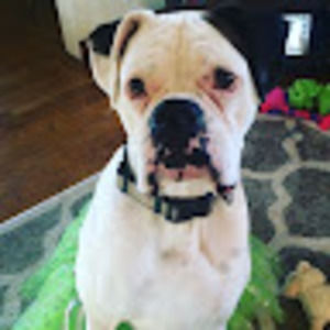 Meet your Posher, Leanna